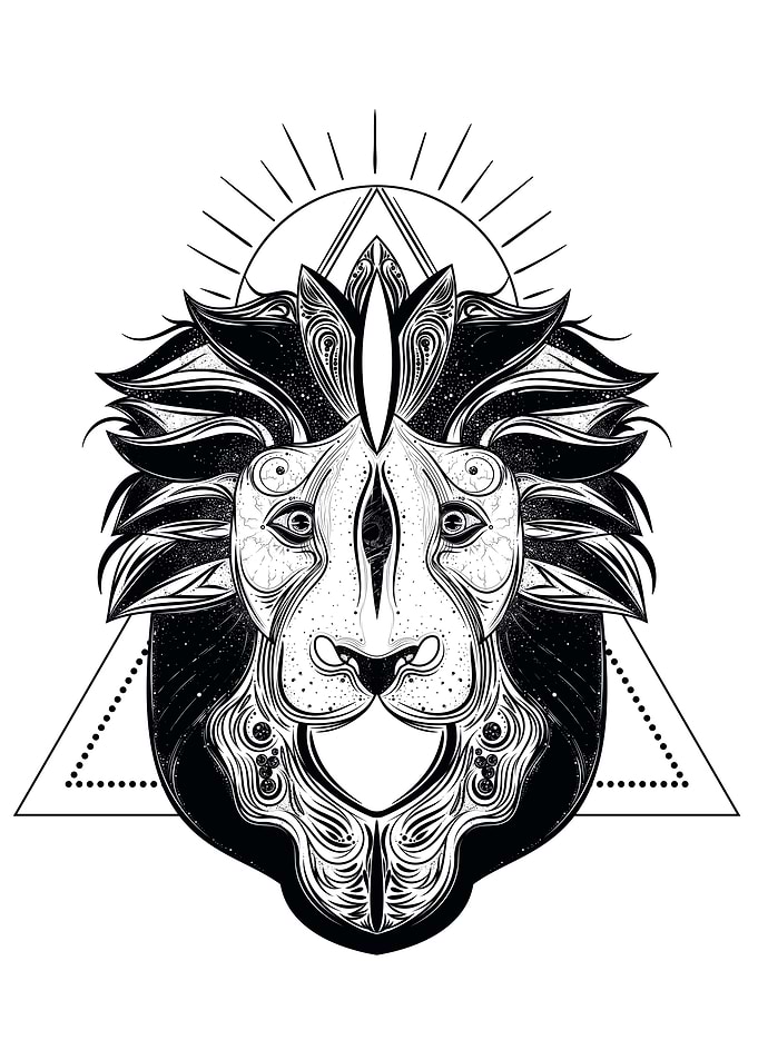 Lion head line art