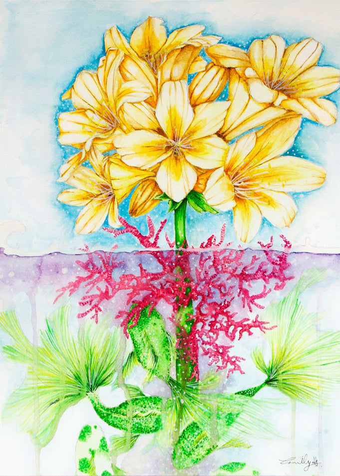 The Flowers
