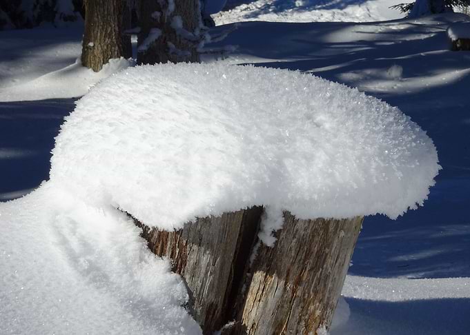 winter wonderland