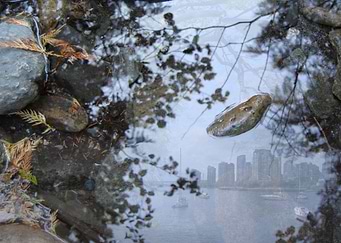 Latest drop