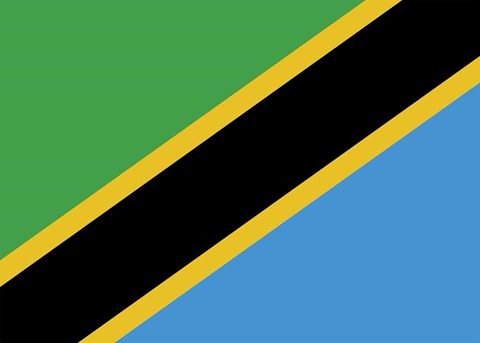 Tanzania Flag