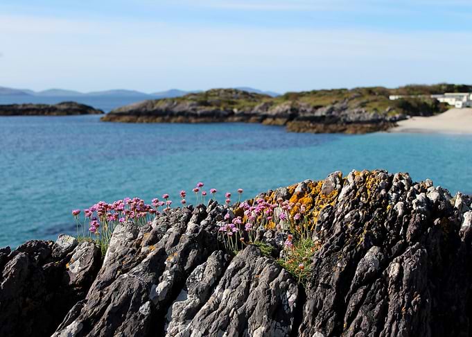 Turquoise atlantic