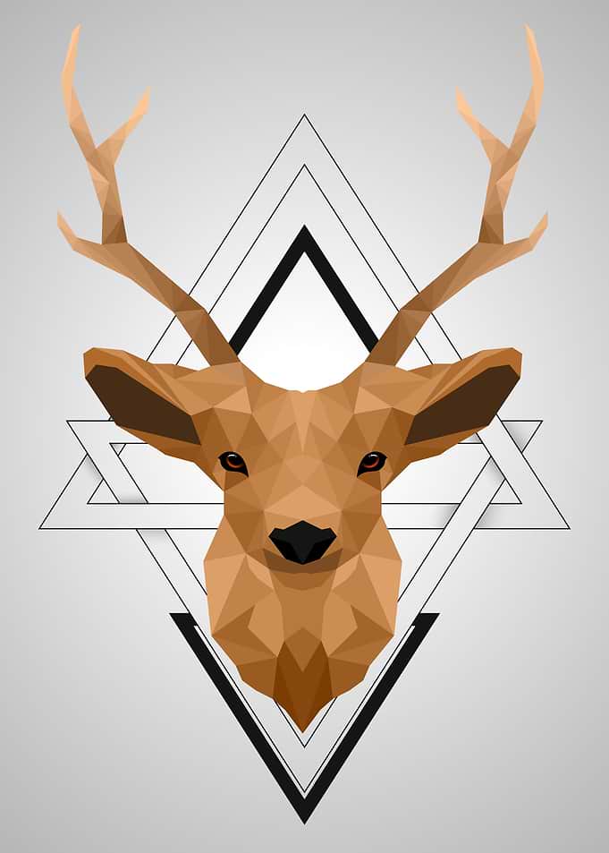 Animal deer