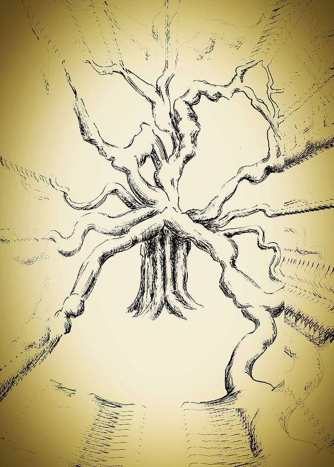 The Tree