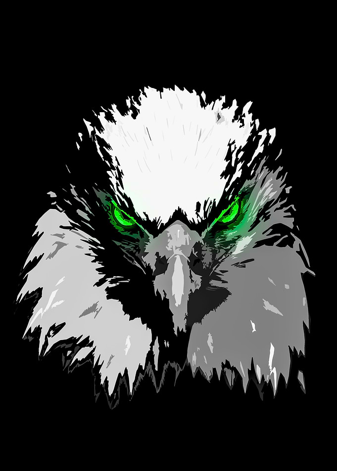 Nigth Eagle