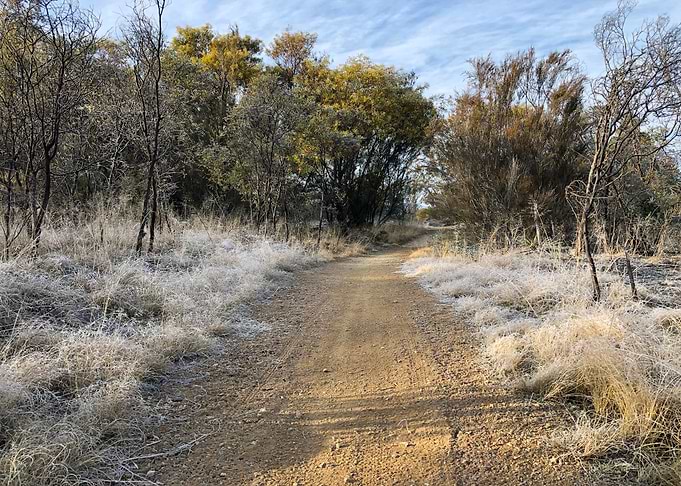 Frosty Trail