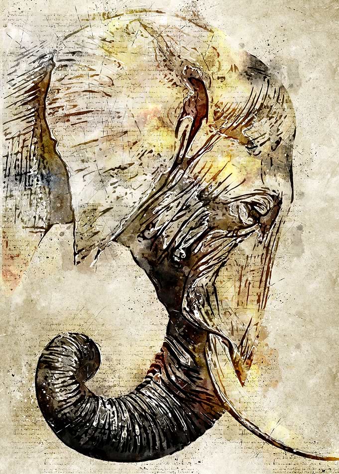 Elephant Vintage Left Side