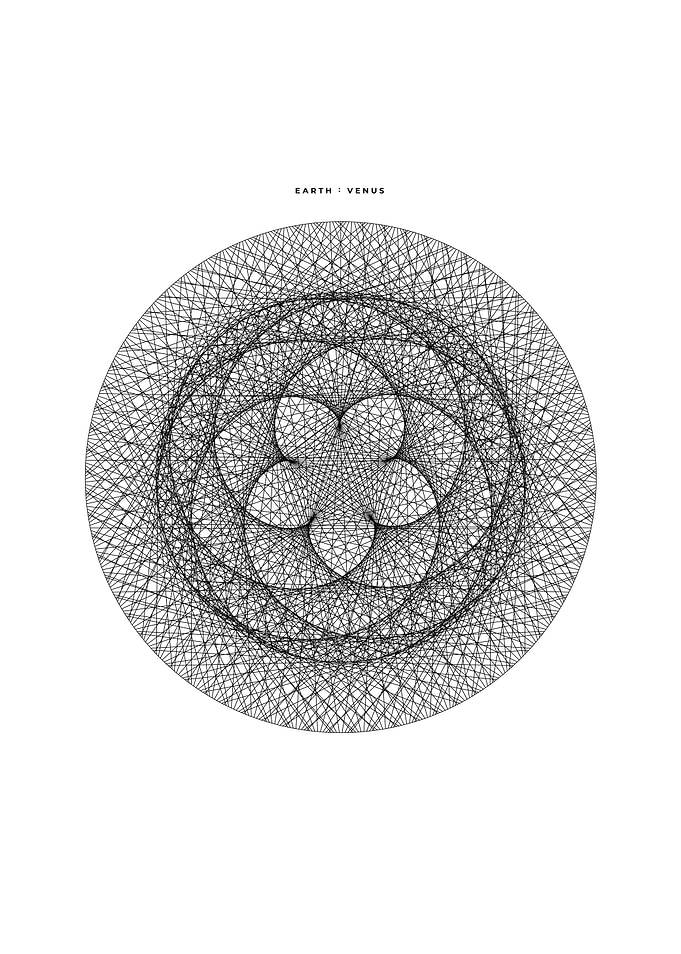 Venus Flower