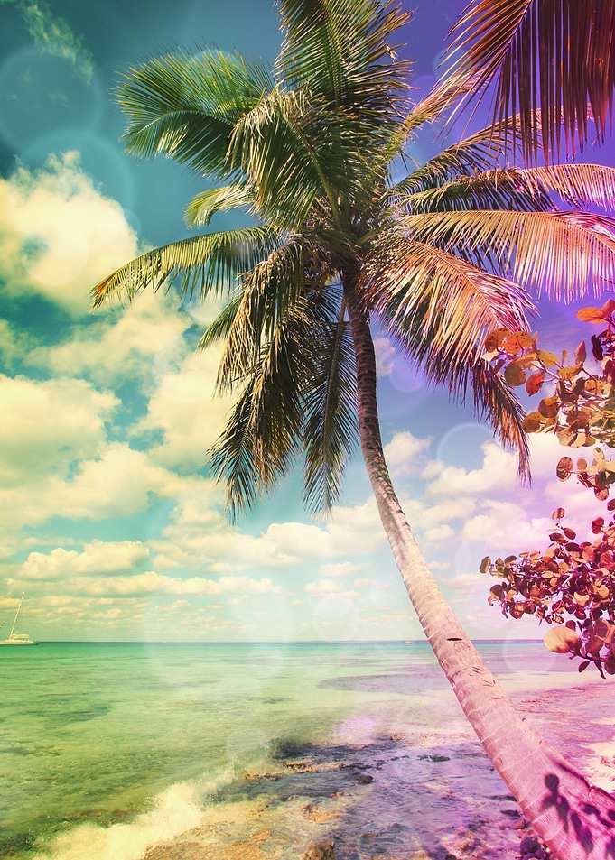 Prismatic Palm Tree