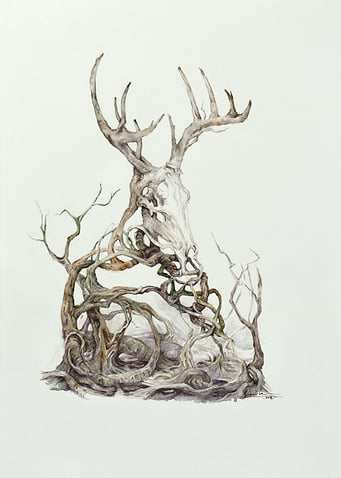The Leshen