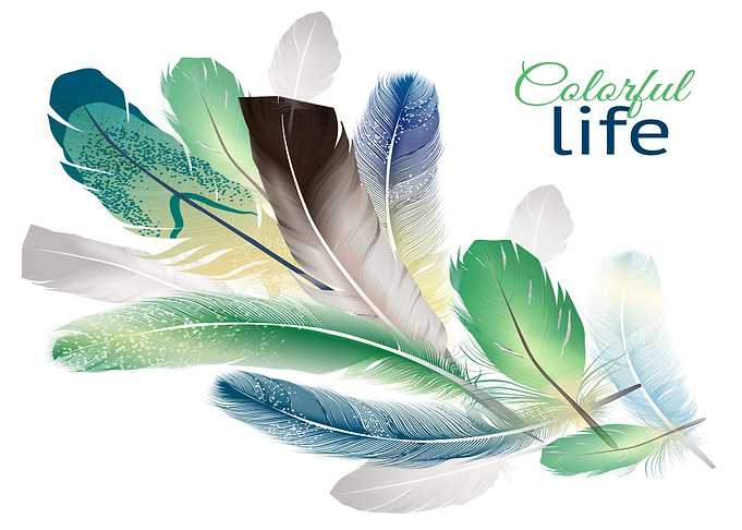 Feathers realistic design