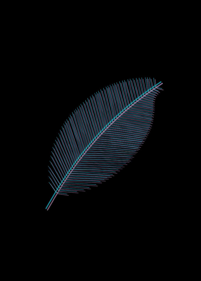 Leaf illustration