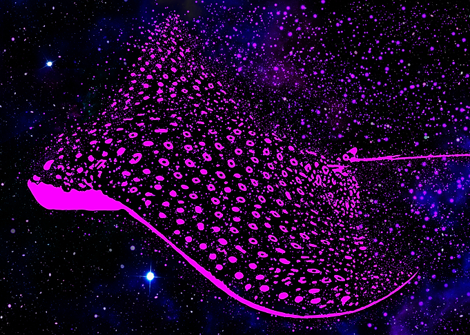 Cosmos Stingray