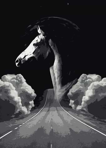 Lost Horse