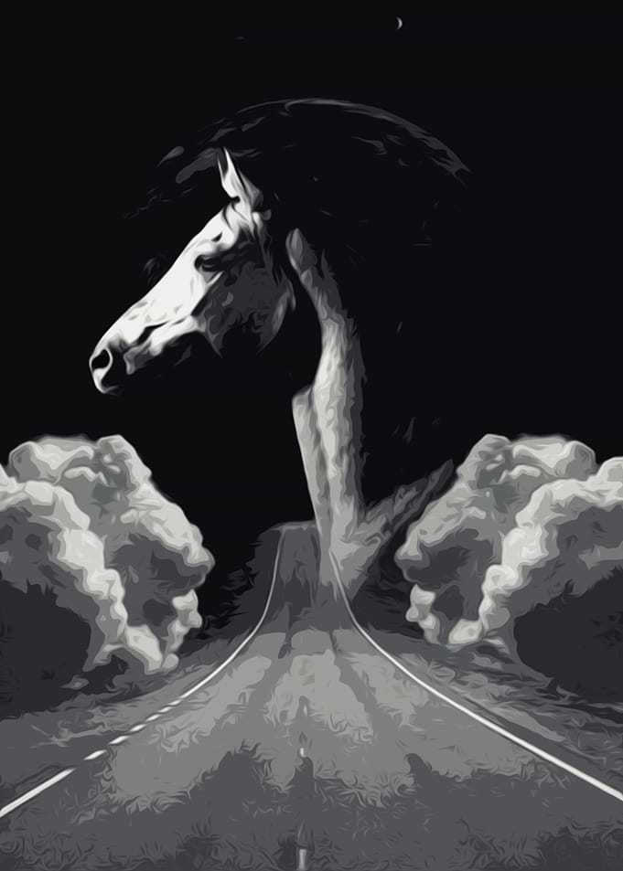 Lost Horse