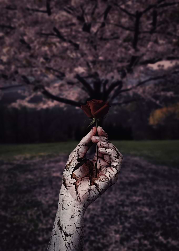 Blooming