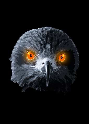 Little Bird