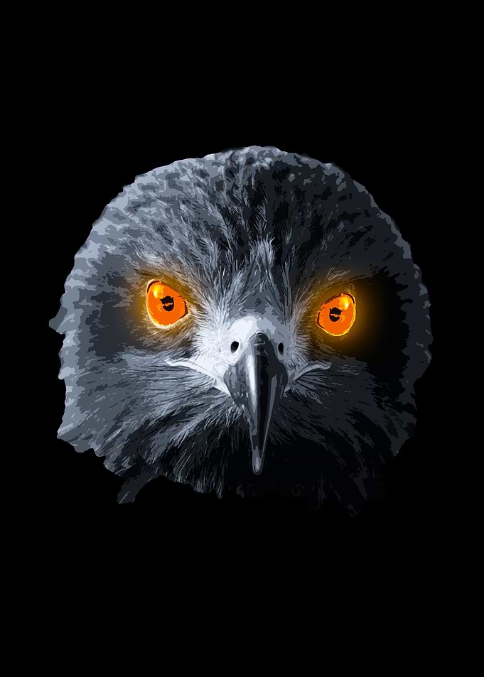 Little Bird