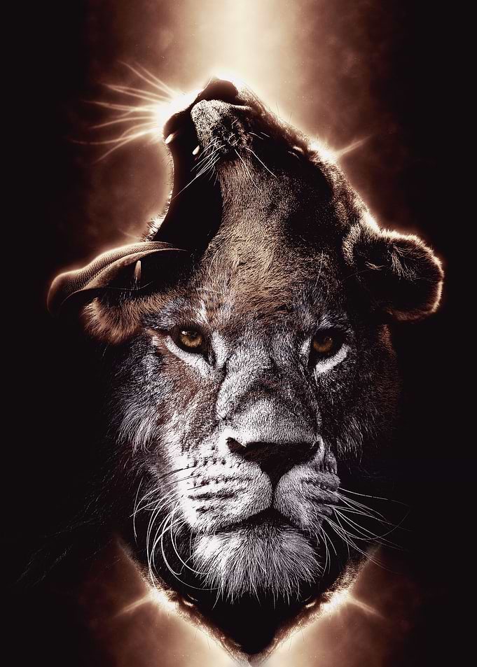 Lions