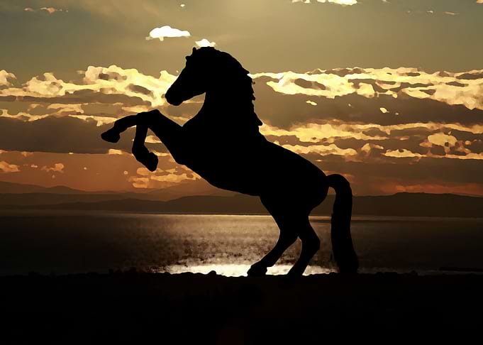 Watercolor Horse Sunset