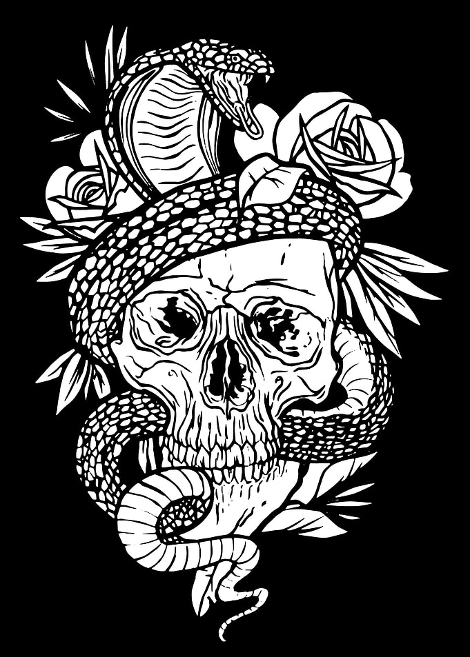 Skull With Snake