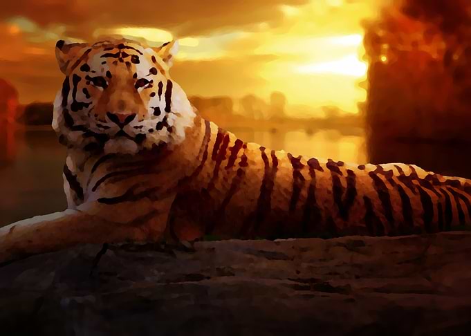 Watercolor Indian Tiger
