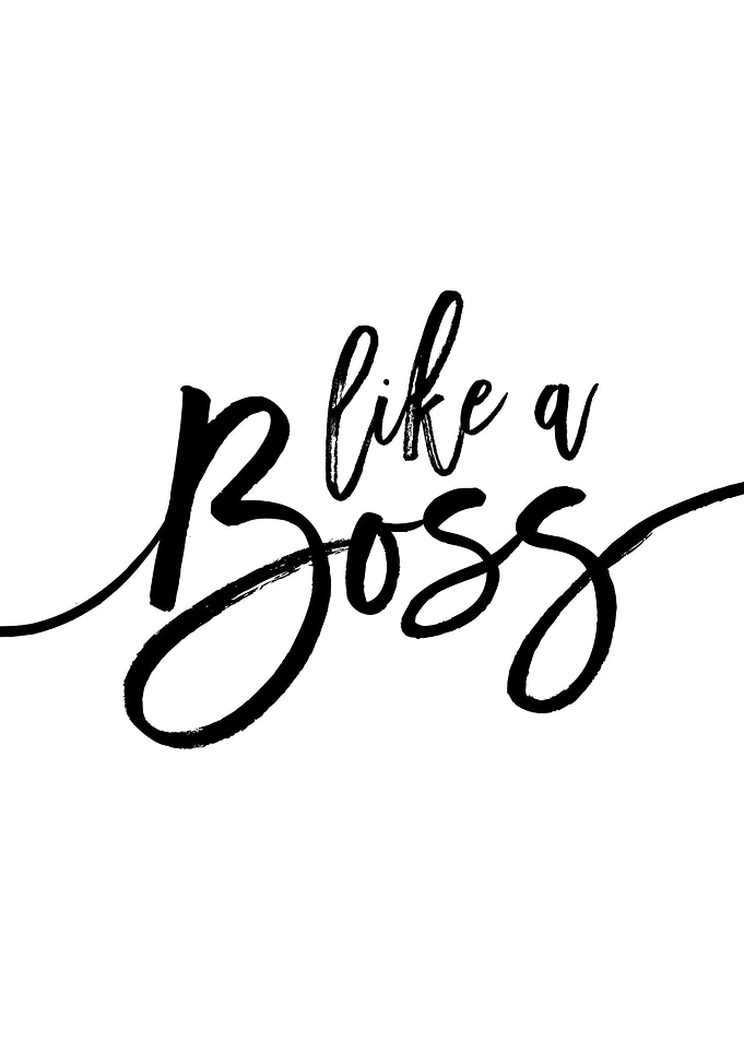 Like a Boss