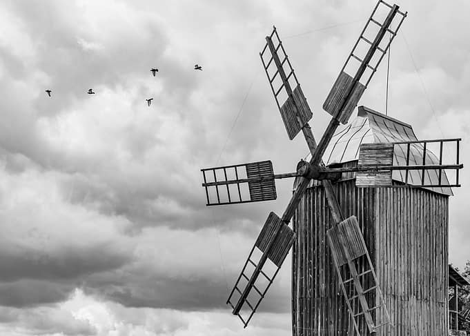 Windmills and birds