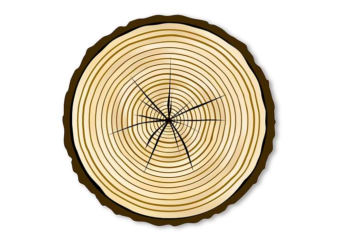 Pale Log End