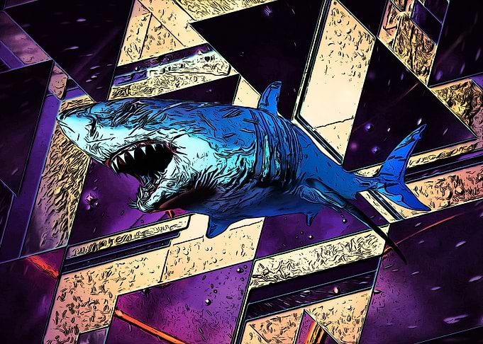 Hight color shark