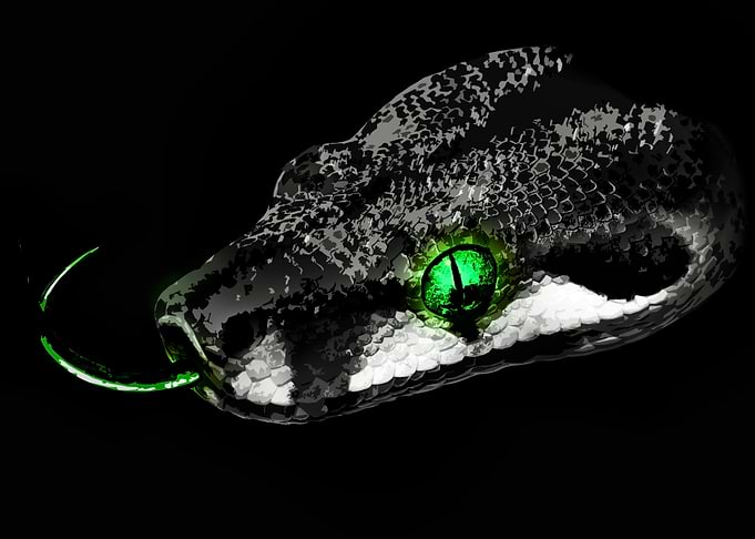 Green rattlesnake