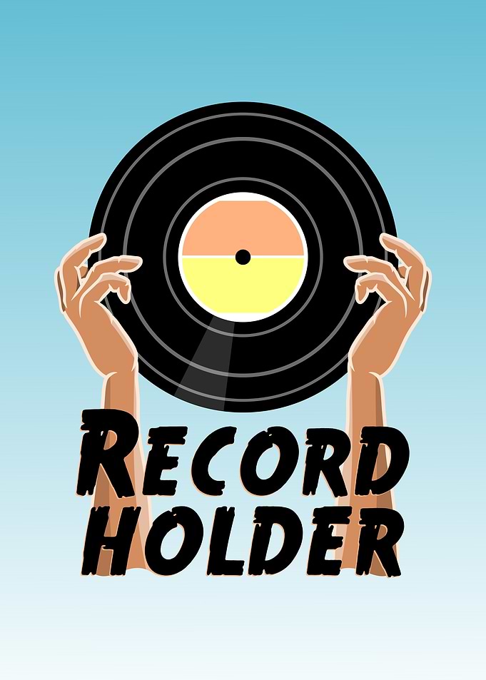 Vinyl Record Holder