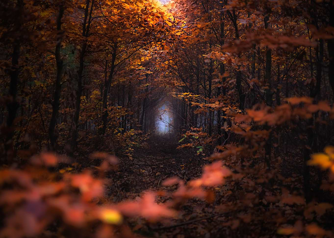 End Of A Tunnel