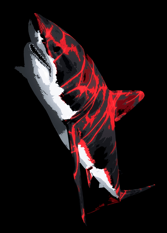 Bloody Shark