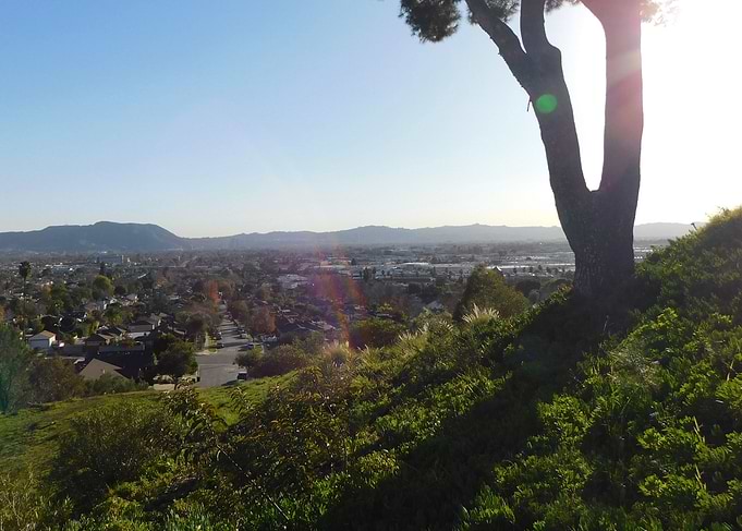 California Walks 05