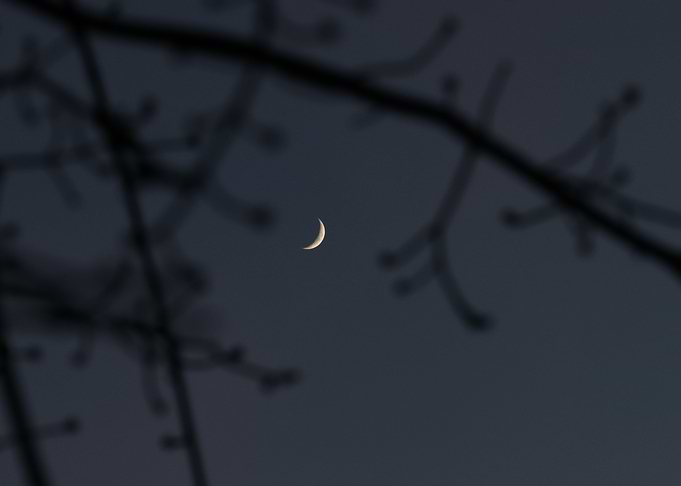 crescent