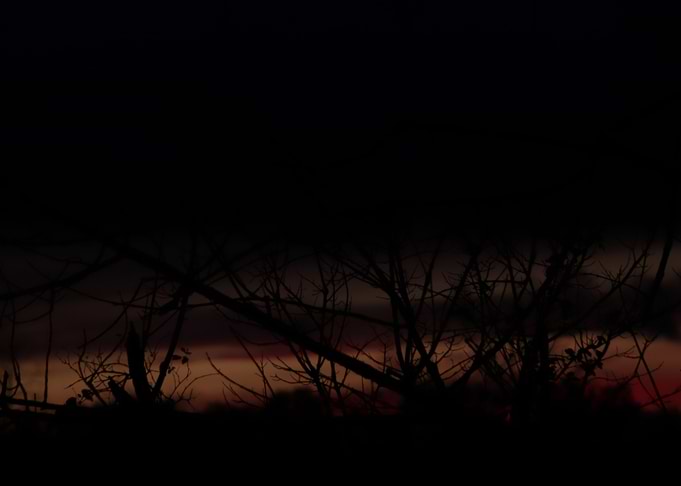 Witching hour