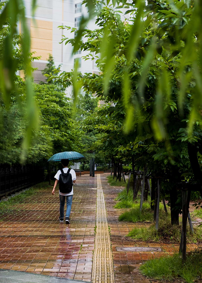 Alone in the rain