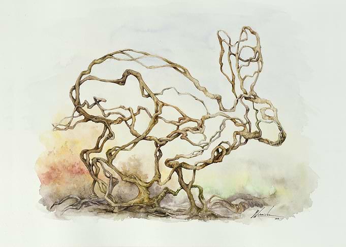 The Hare