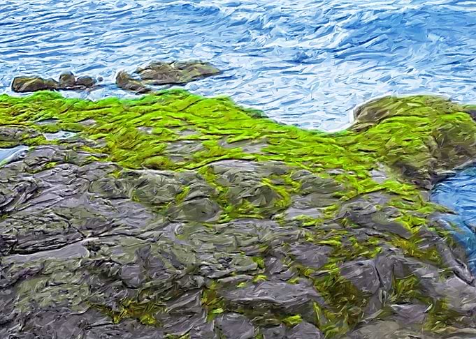 Ocean Rocks