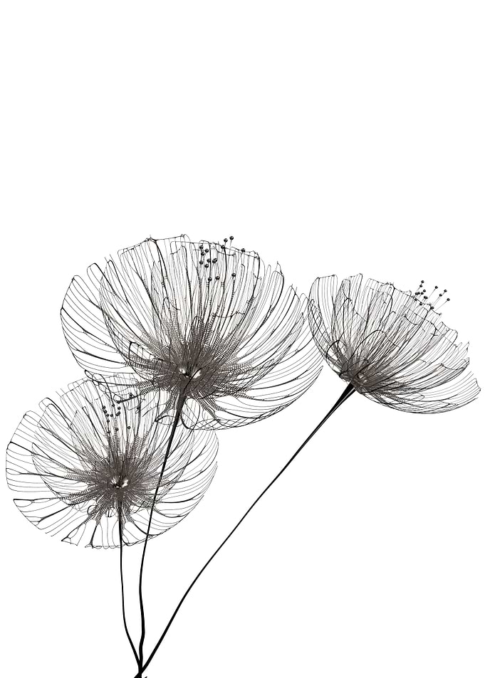 Minimalist flowers