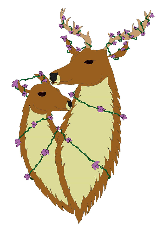 Loving Deer