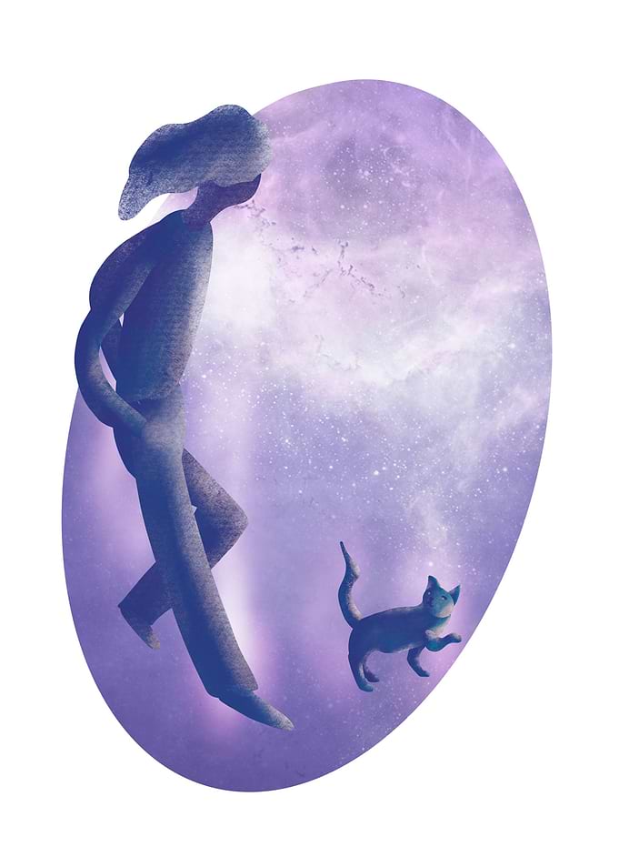 Portal Cat