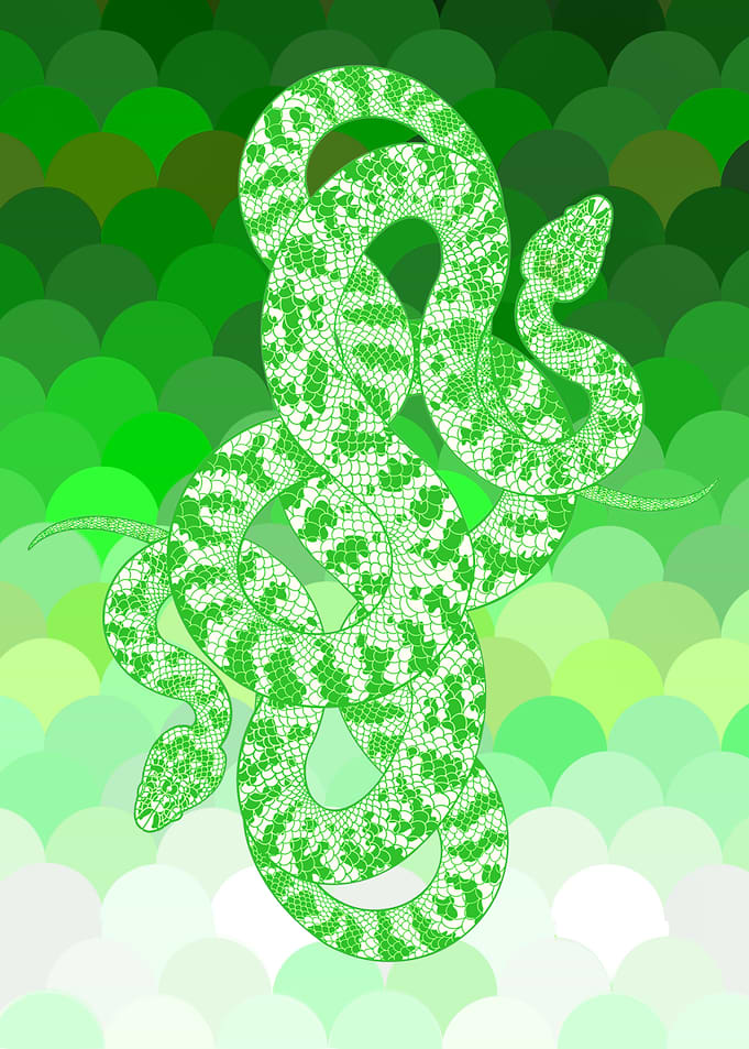 Emerald Vipers