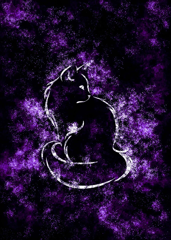 The Cat