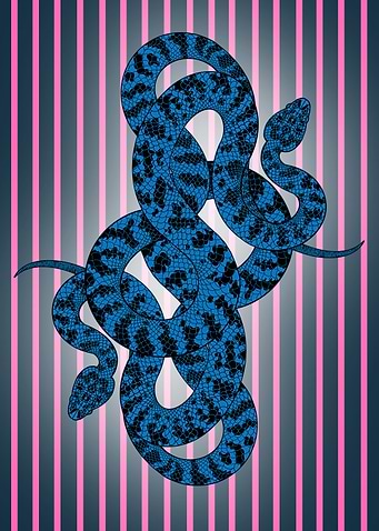candy stripe snakes