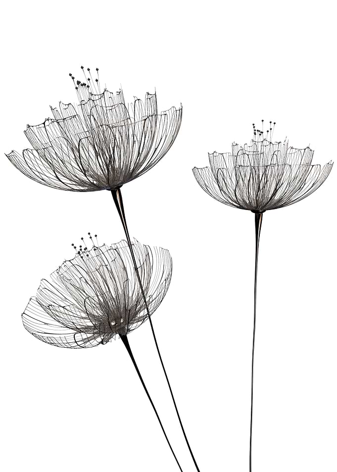 Minimalist flowers