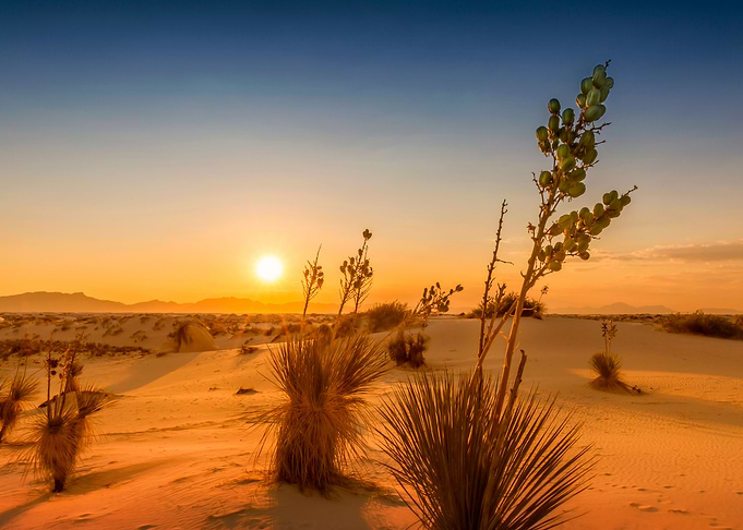 White Sands Sunset