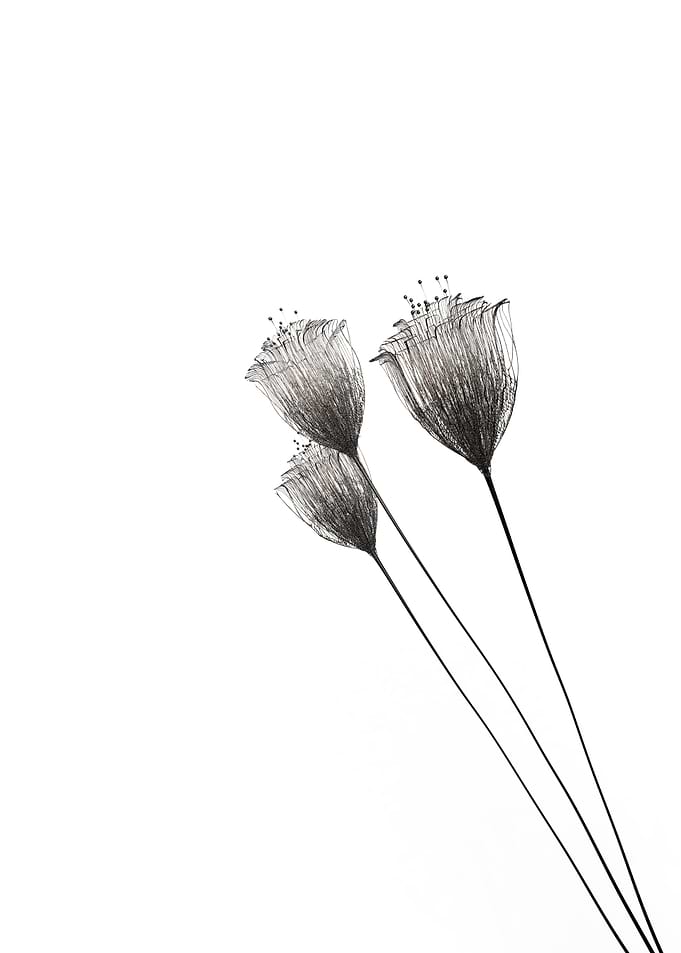 Minimalist flowers