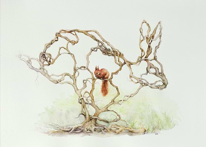 The Rabbit and Squirrel